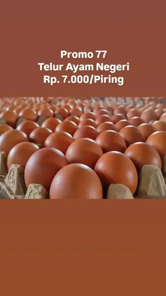 Telur Ayam Negeri