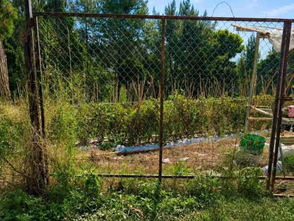 Tanah View Gunung 1.260m² Dekat Maribaya Bandung