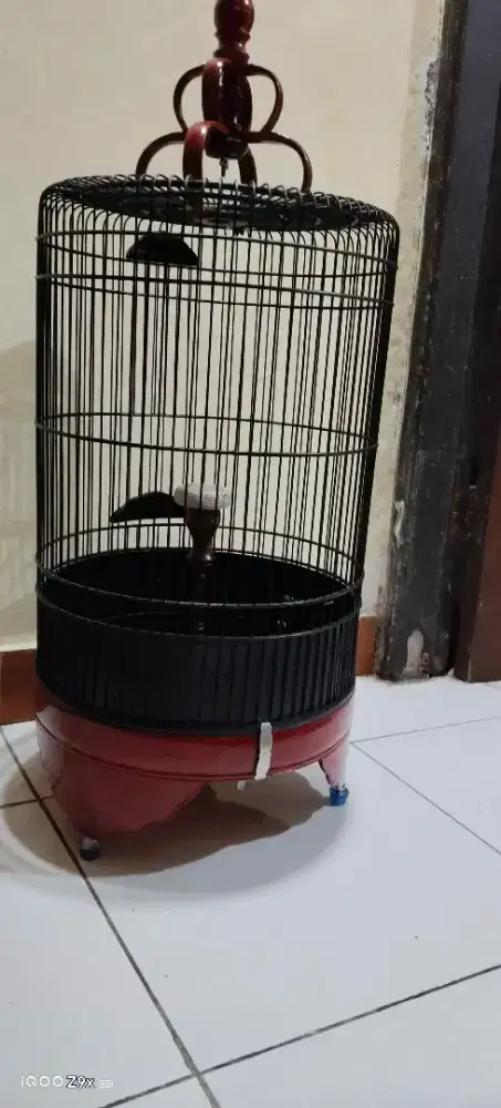 Kandang branjangan  diameter 34
