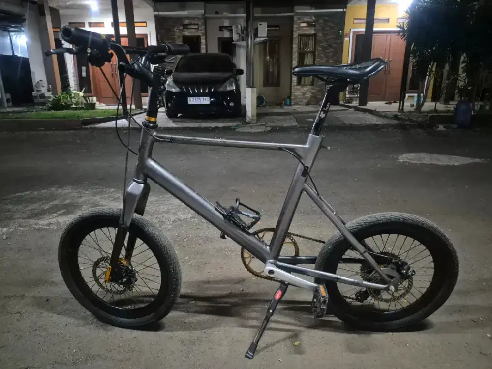 Minivelo 20 custom