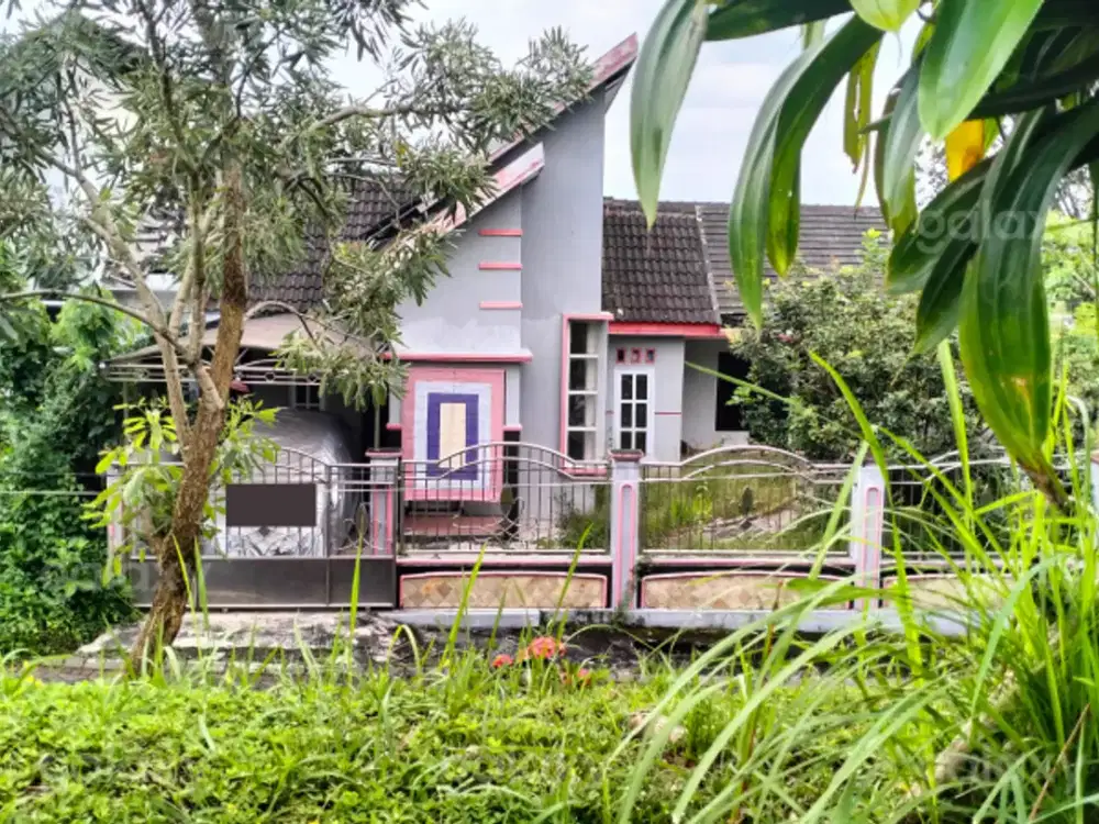 Rumah Bagus 4 Kamar Pesona Mutiara Tidar Malang GMK03985