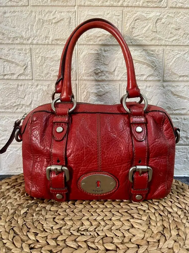 Tas fossil maddox