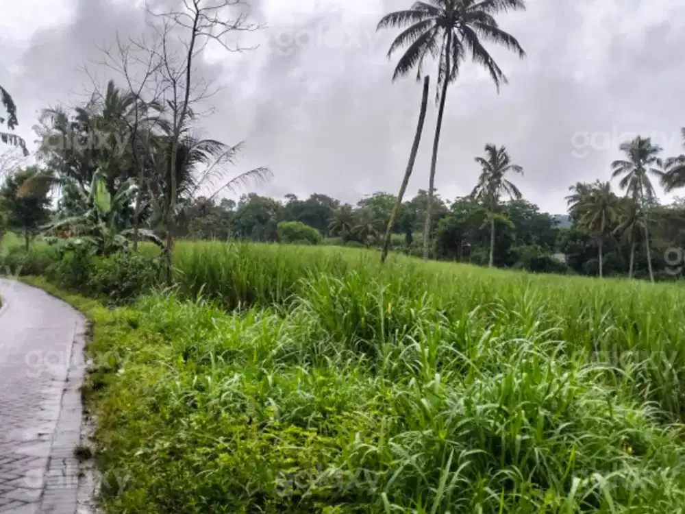 Tanah Strategis 8000 m2 Daerah Singosari Malang GMK03895