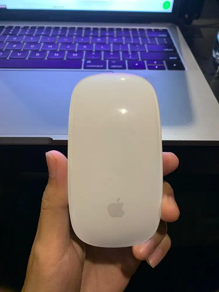 Apple Magic Mouse Gen 2