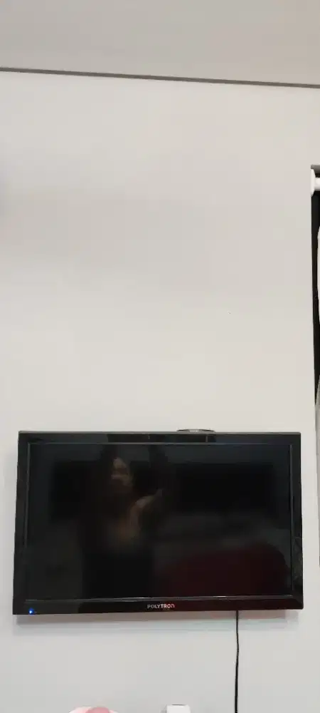 TV polytron 24inc