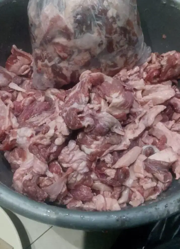Urat daging sapi impor