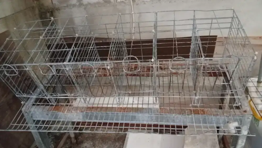 Kandang Ayam Petelur 6 sekat