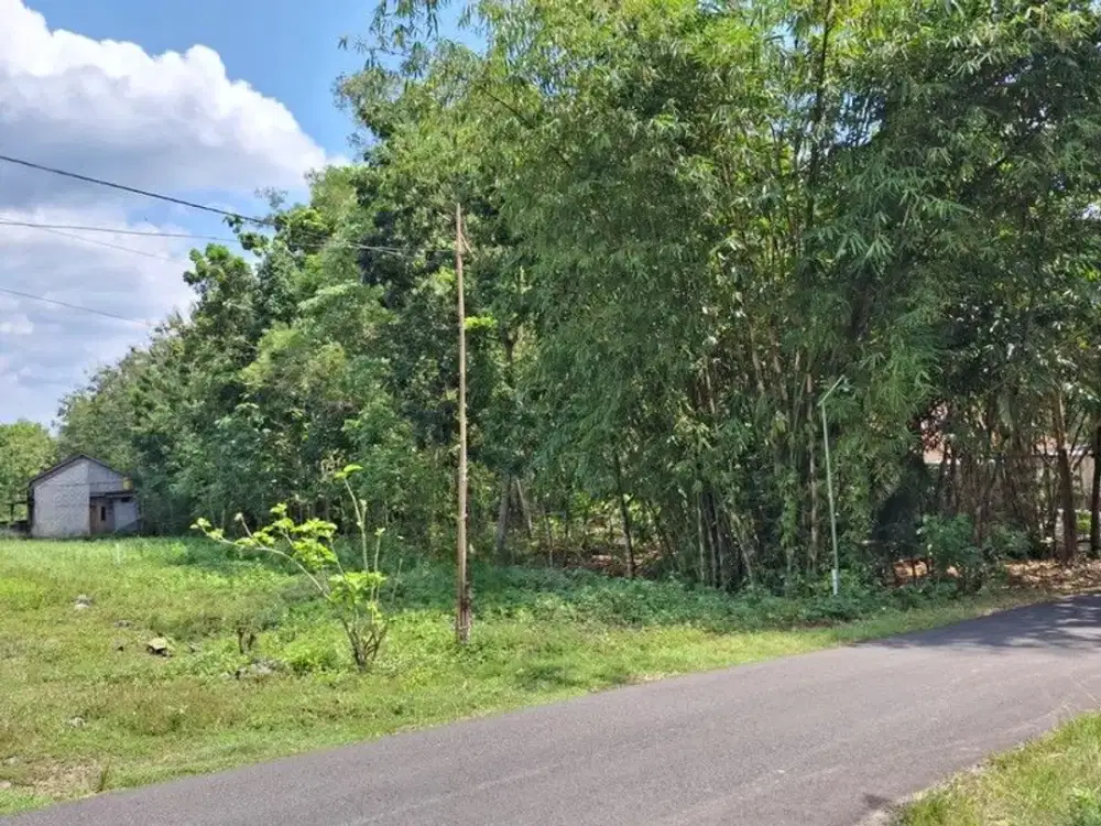 Tanah Pekarangan diJual Area Sentolo - Kulon Progo
