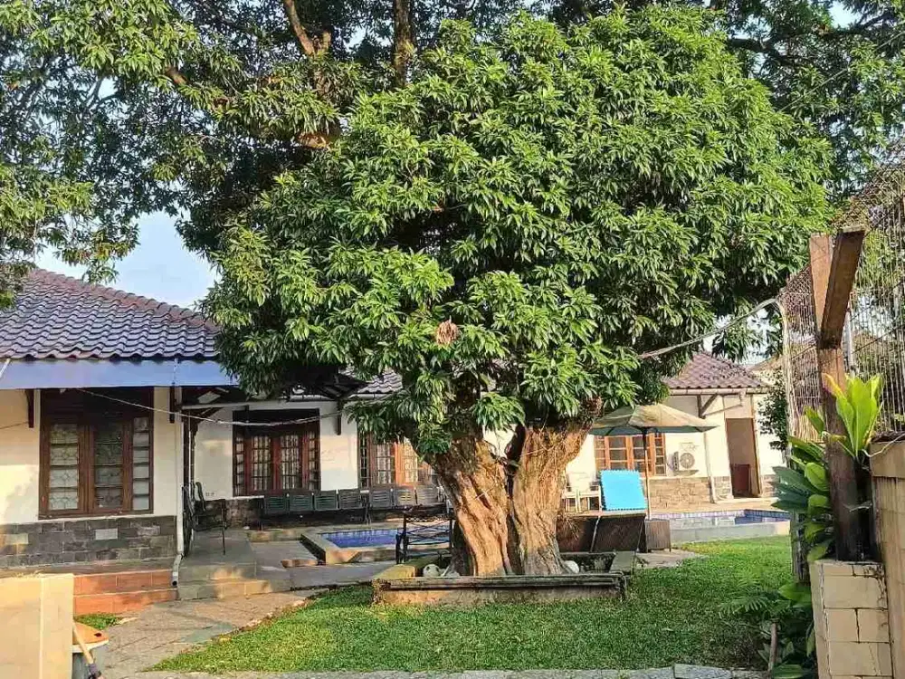 Rumah Mewah Konsep Resort di Arco Sawangan – Tanah 1.762m² Super Luas + Kolam Renang Privat (SHM On Hand!)