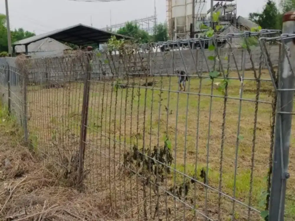 Dijual Cepat Tanah Kavling Komersial Delta Mas Siap Bangun
