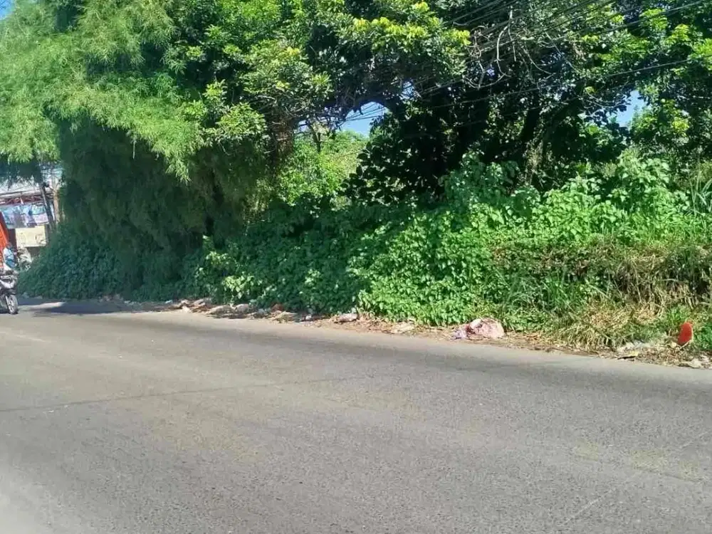 TANAH MURAH DAN STRATEGIS DI JALAN RAYA HAJI MIING PARUNG CISEENG   

Luas tanah 3000 meter
Lebar muka 32 meter kurleb 
Surat sertifikat (SHM) 
Tanah rata persegi
Bebas banjir
Lokasi sangat strategis
Dekat ke pasar raya parung dan juga ciseeng
Nempel deng