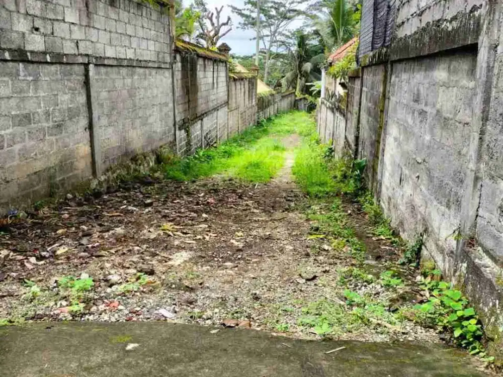 Tanah Komersial Los Sungai Ayung Dekat Mandapa Ubud - Thumbnail 6