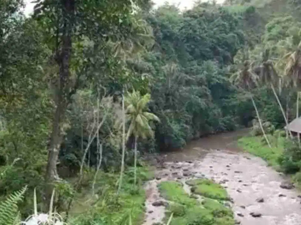 Tanah Komersial Los Sungai Ayung Dekat Mandapa Ubud - Thumbnail 7
