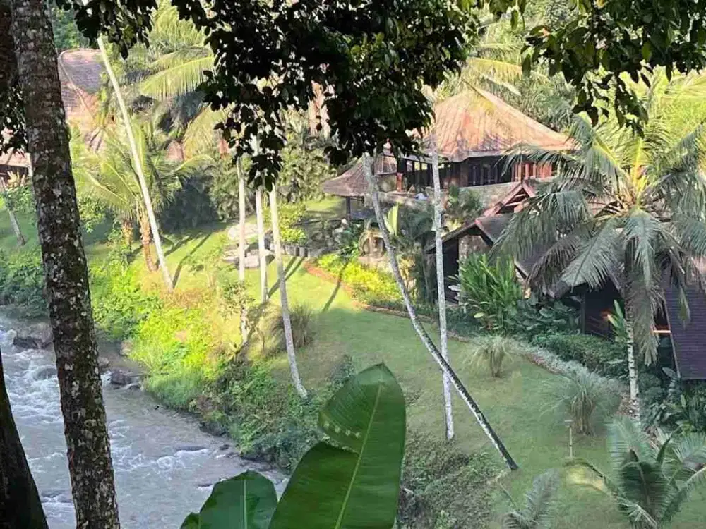 Tanah Komersial Los Sungai Ayung Dekat Mandapa Ubud - Thumbnail 9