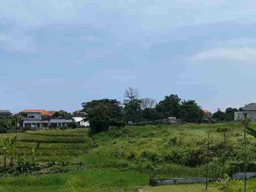 Tanah premium 5 are berawa canggu view sawsh lebar  16,3m 1,650M/are dekat ATLAS & FINS BEACH