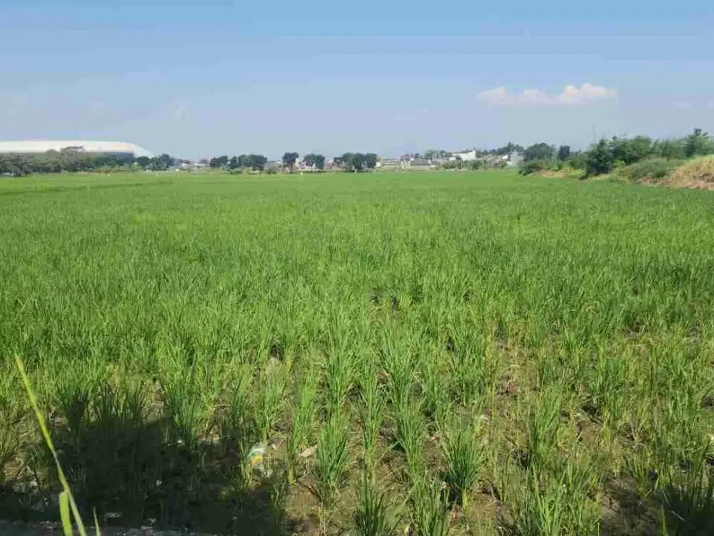 Di Jual Tanah di Gedebage