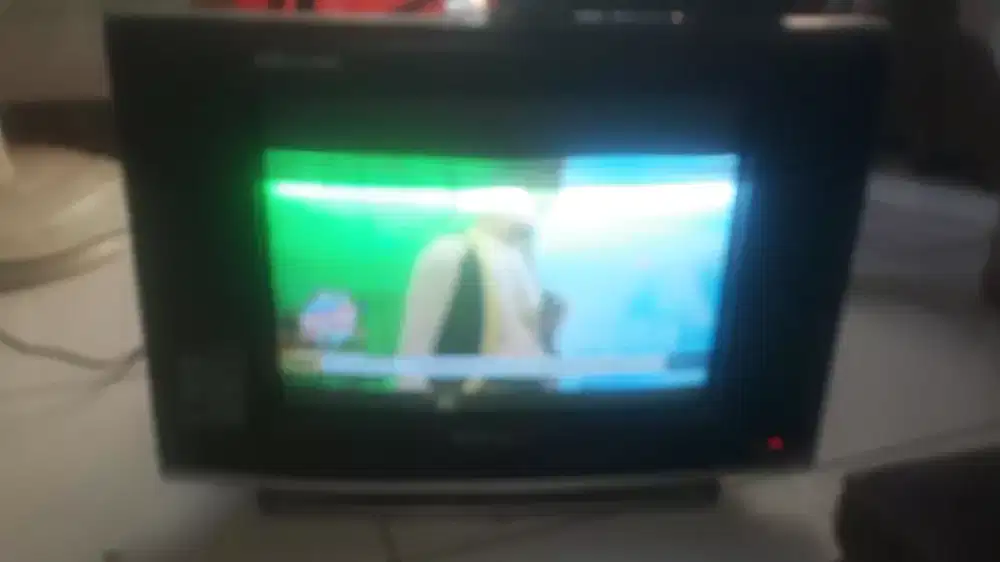 TV 14 inch.merk Animax