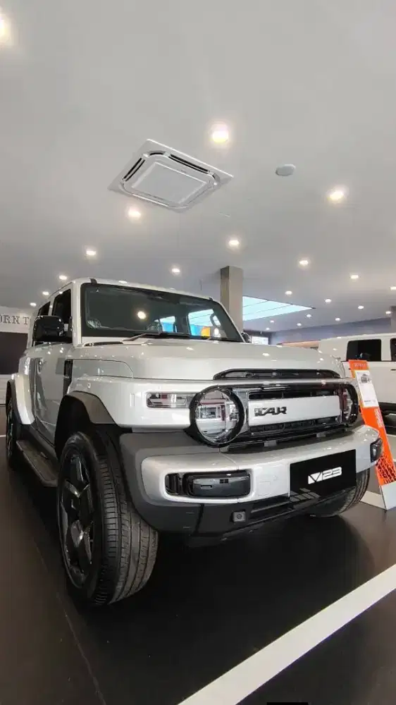 iCAR V23 Type Z IWD