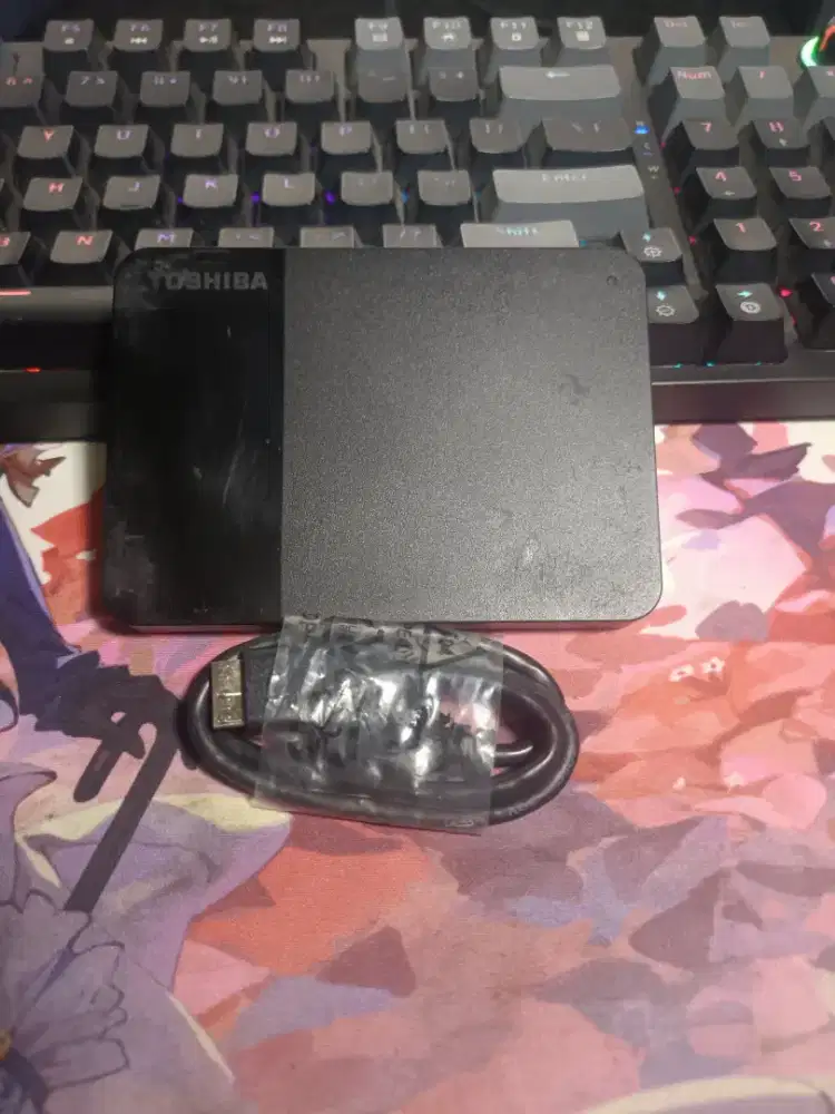 HDD 1Tb External Sentinel 100/100