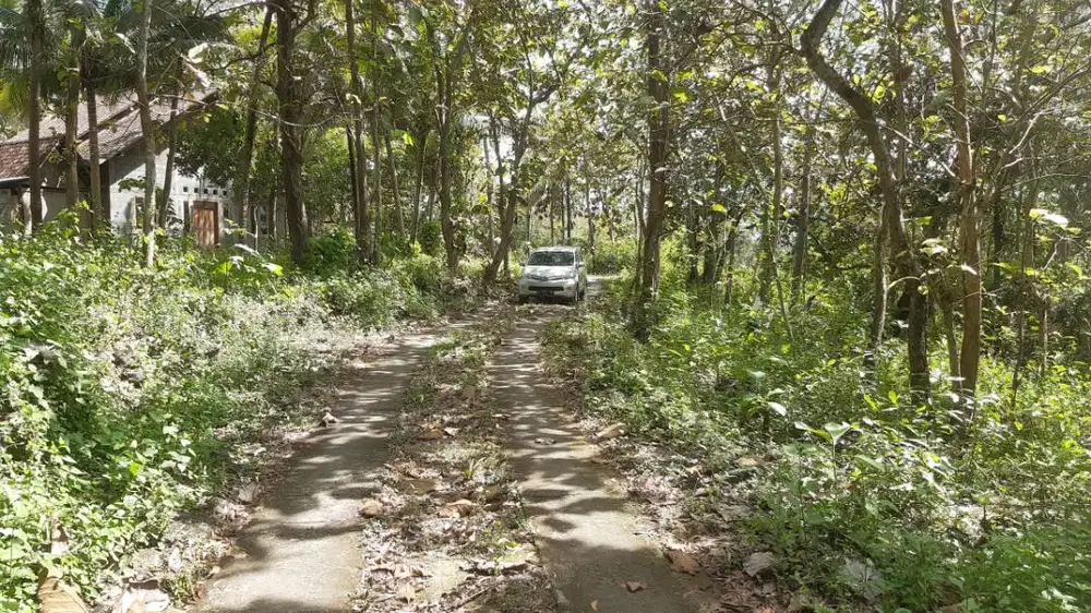 Dijual Tanah Murah di Sentolo, Kulon Progo  Dekat Calon EXIT TOL