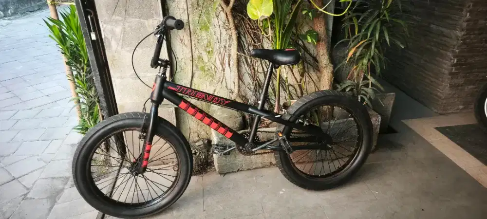 Sepeda gunung ban gede