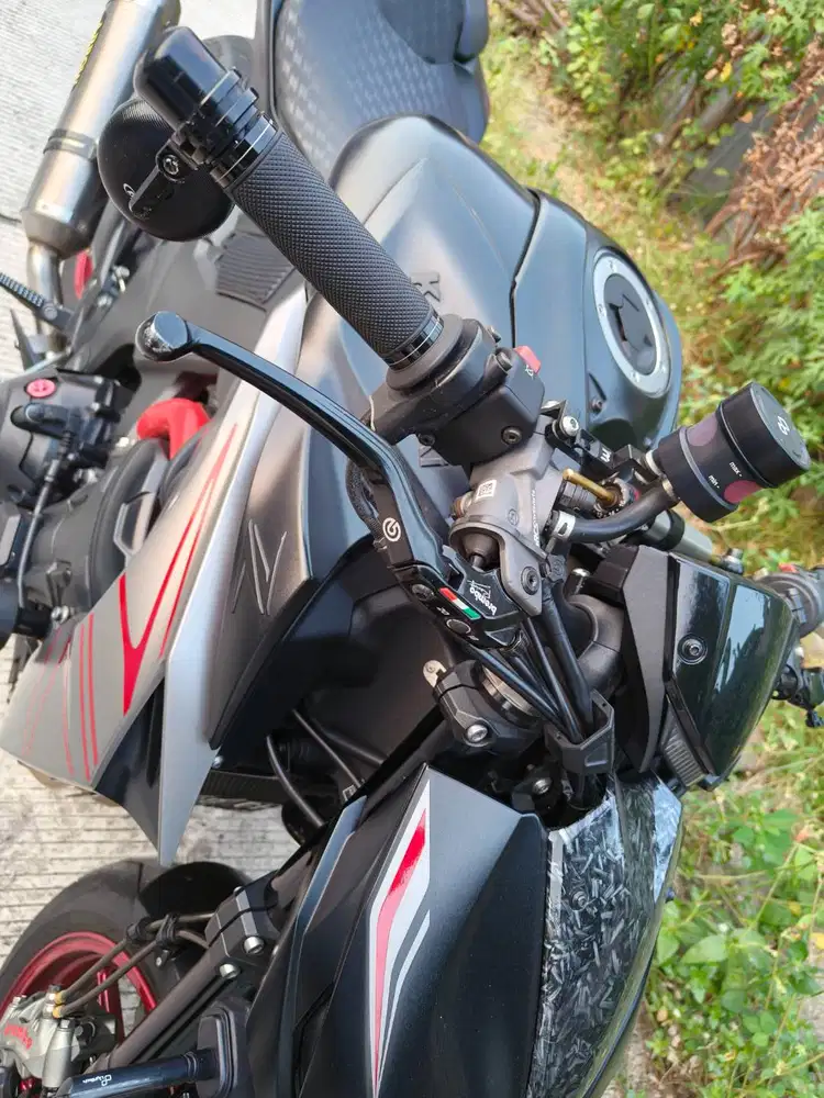 Kawasaki Z1000 Sugomi 2021