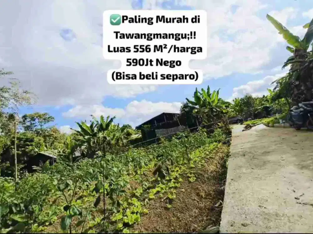 juak cepat tanah pekarangan Tawangmangu Karanganyar
