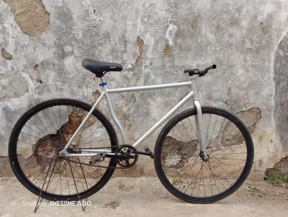 Fixie rem toroedo