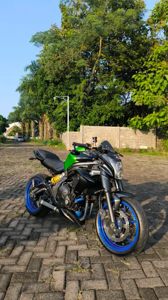 Kawasaki Er6N 2012 Ohlins