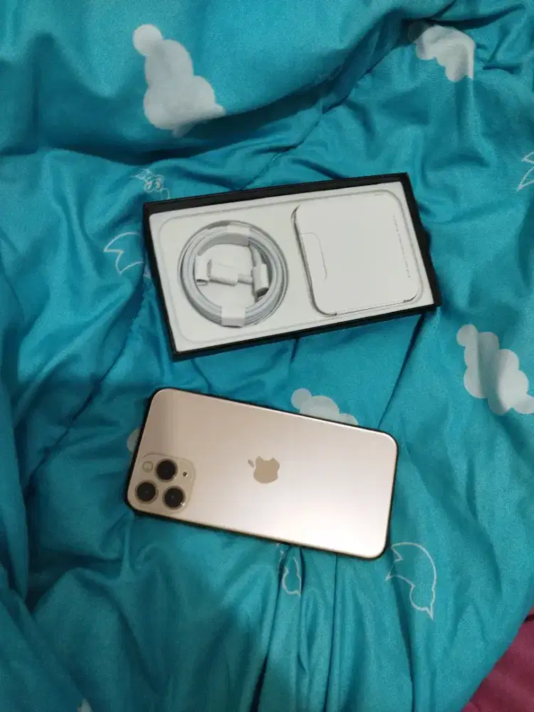 iPhone 11 pro 256gb gold warna cerah