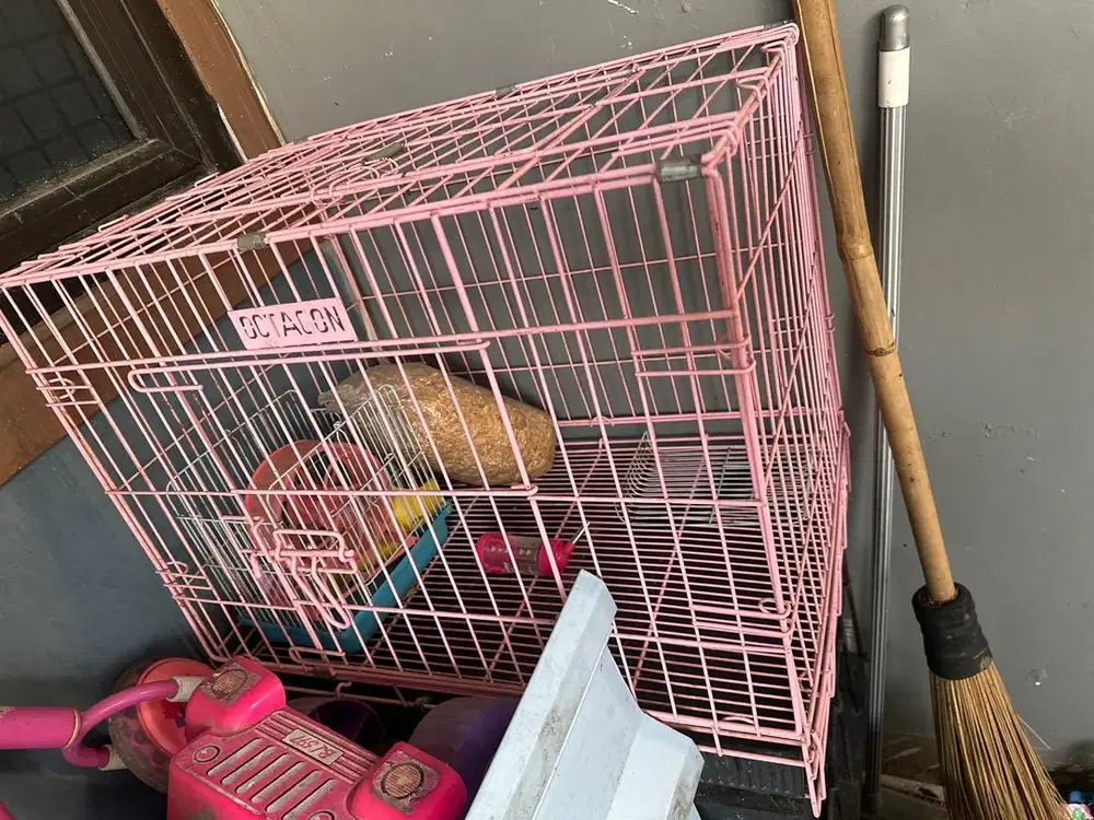 Kandang kucing dan kandang hamster