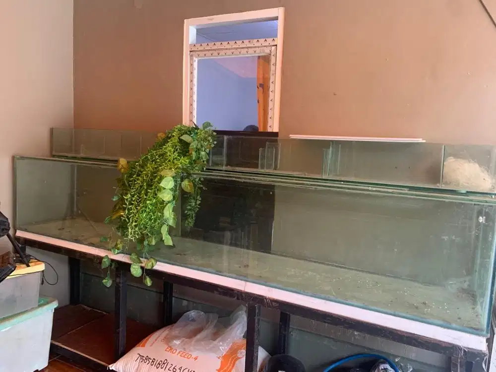 Aquarium , Rak besi holo, filter top