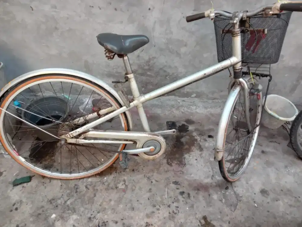 Sepeda jadul 28