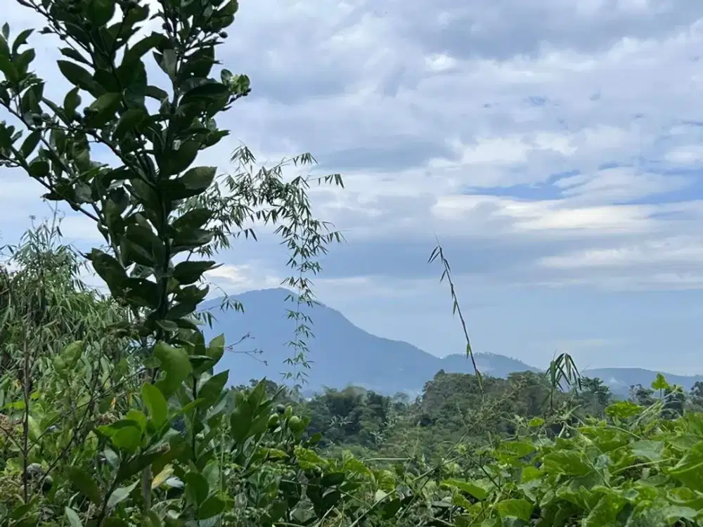 Dijual Tanah subur cocok untuk Pertanian Pasir Jambu Ciwidey