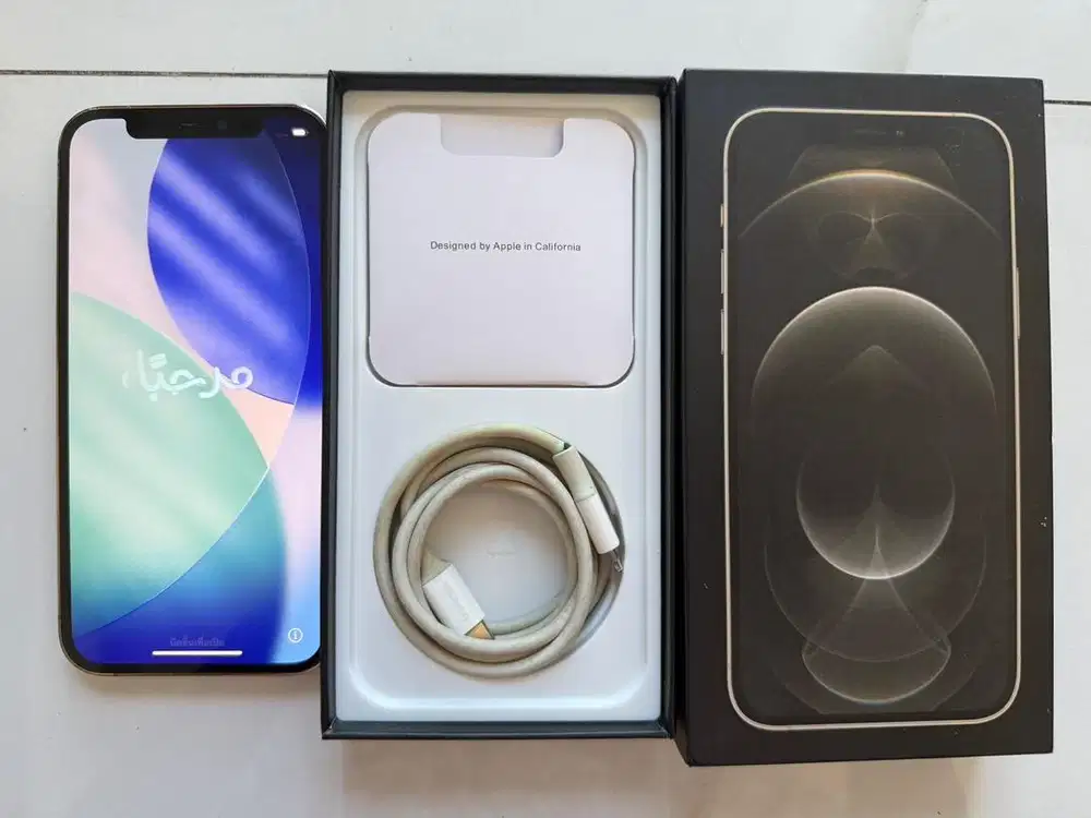 Iphone 12 Pro 256gb Resmi