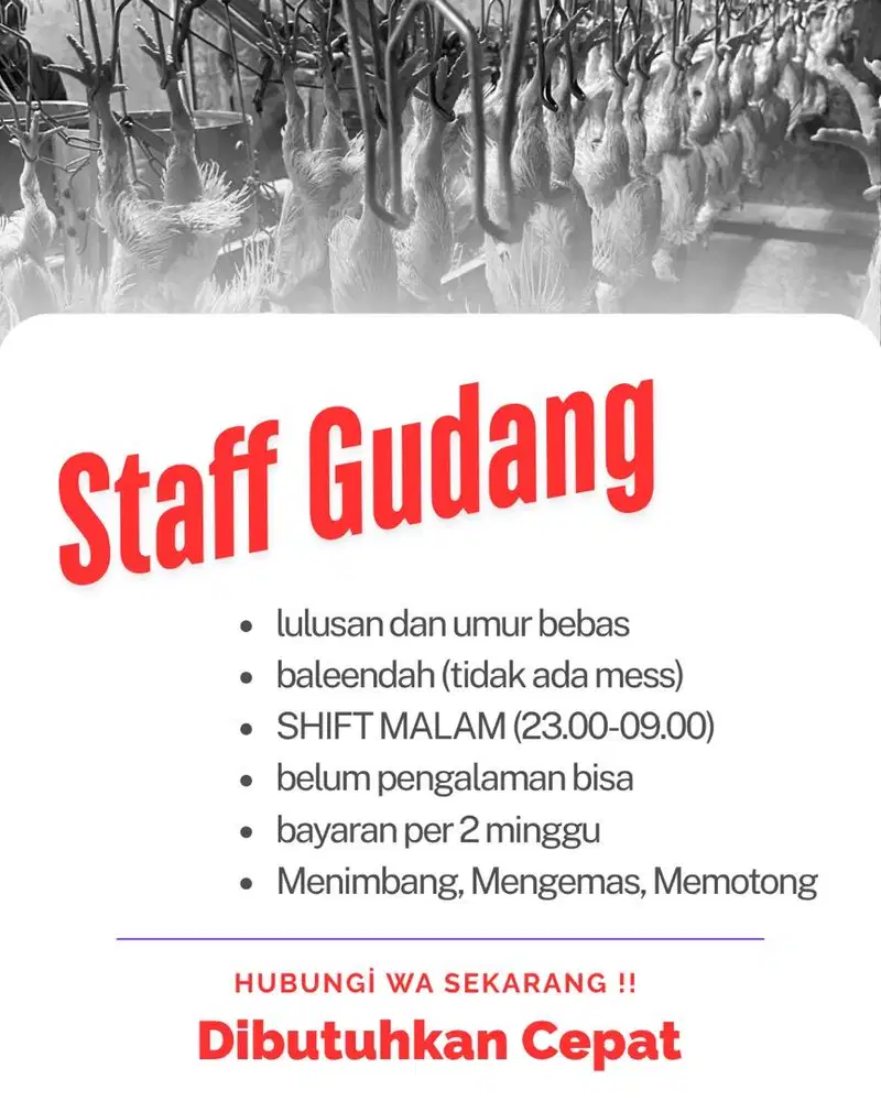 DIBUTUHKAN CEPAT