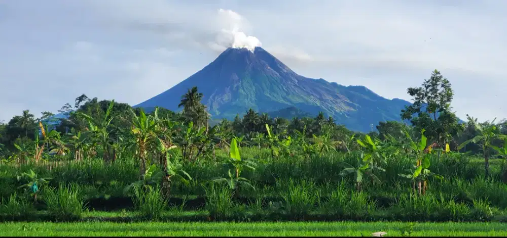 Tanah lokasi view merapi akses mudah SHM pekarangan jual murah