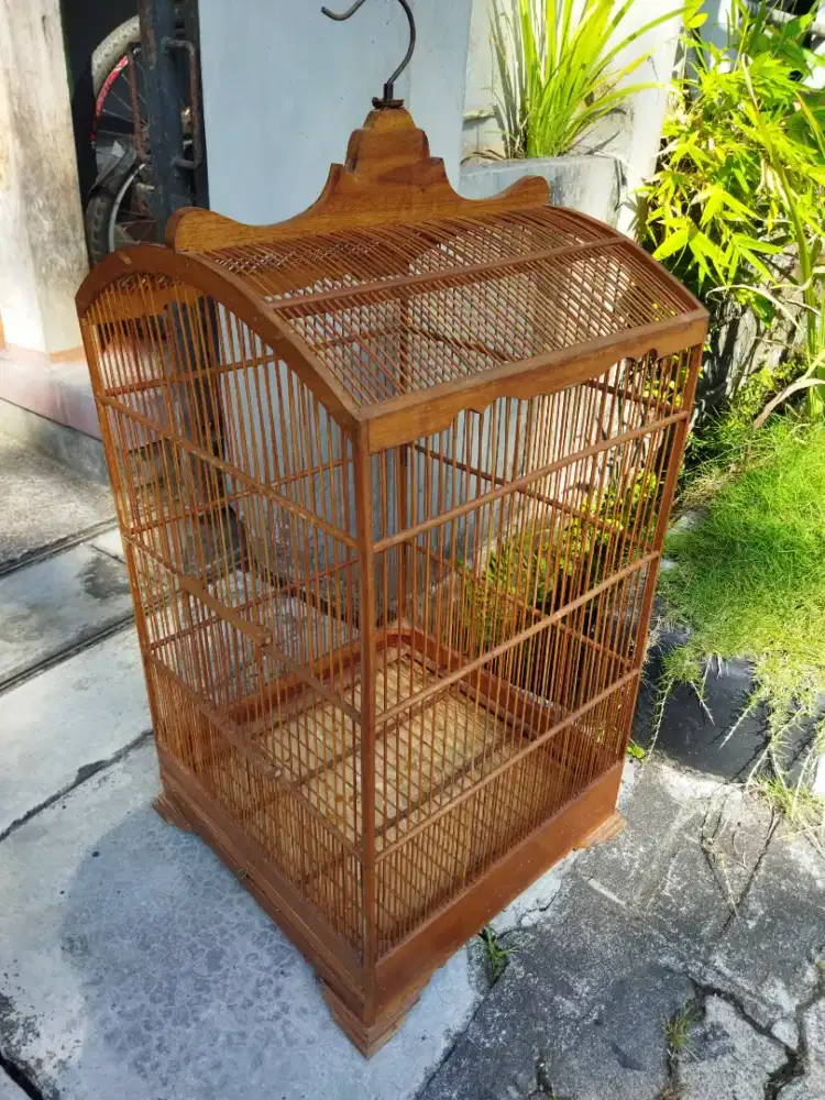 Sangkar msh bgs 40x40