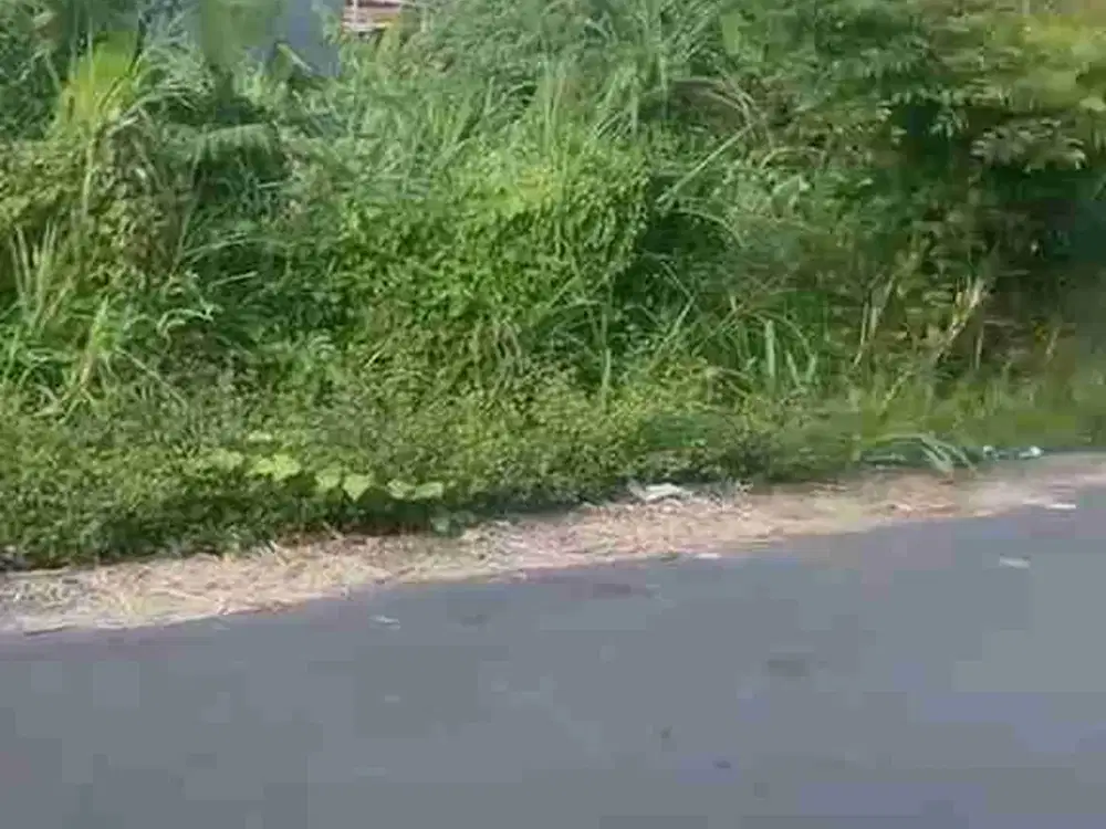 Tanah Luas Kecil Di Drupadi Dekat Renon Regent School Badak Agung Dewi Madri