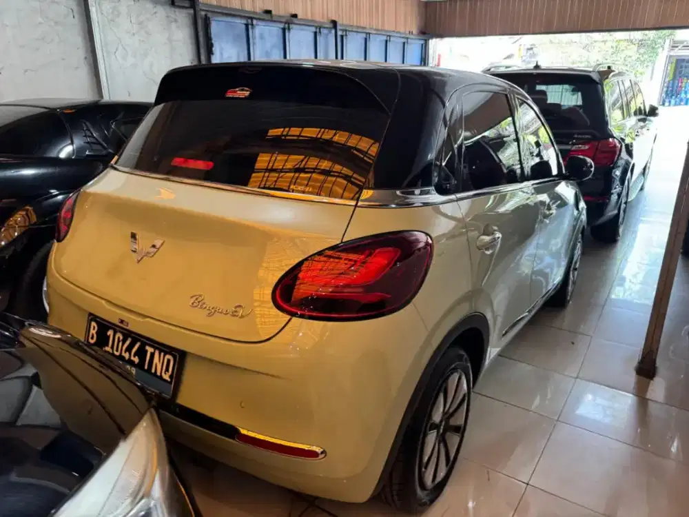 Wulling binguo th 2025 km range 330km