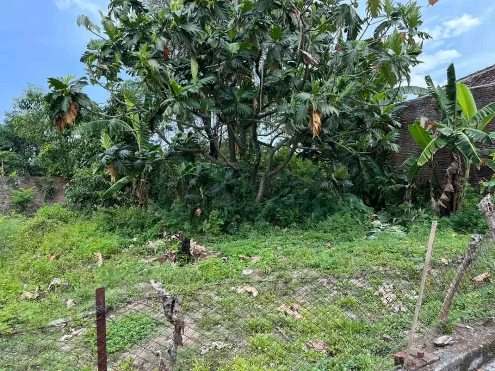 Tanah Pekarangan Ngringo Jaten KRA,Timur UNS,Kampung Padat Penduduk