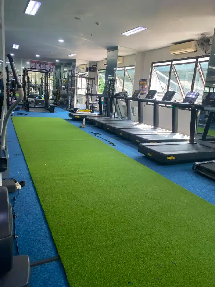 Jual Rumput Sintetis Buat Tempat Gym