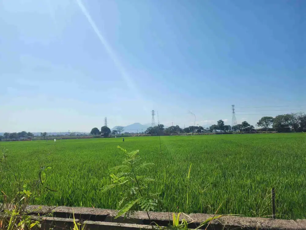 DIJUAL TANAH