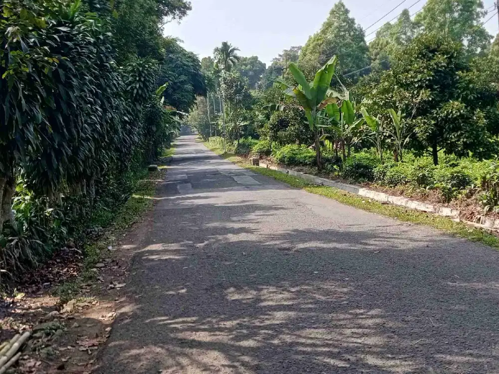 tanah darat kebun