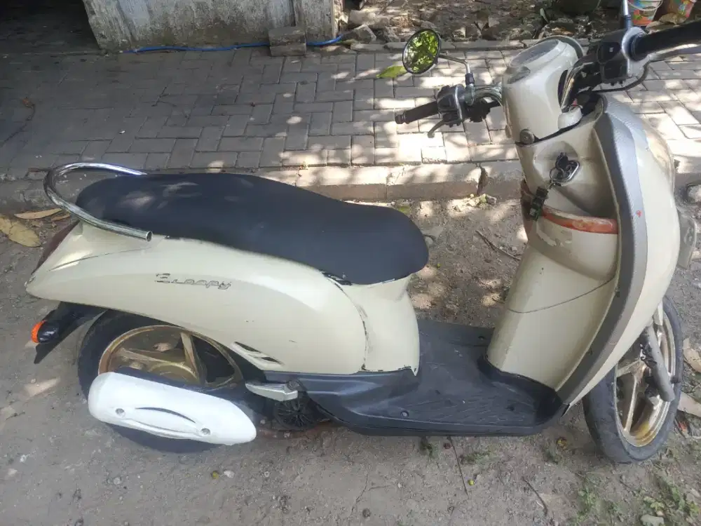 Scoopy karbu tahun 2010