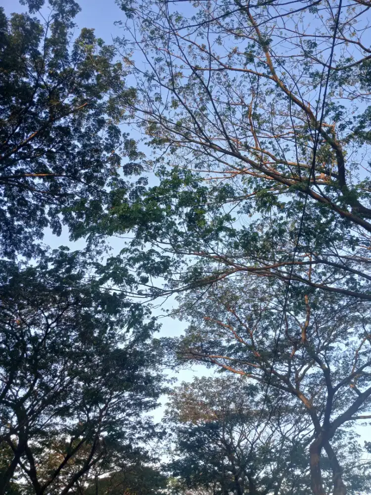Jasa Harian Pengganti karyawan Off/Ijin