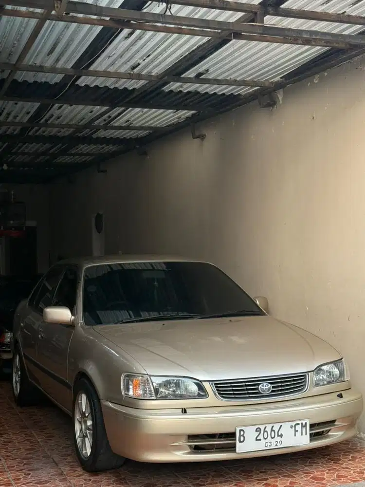 All new corolla seg