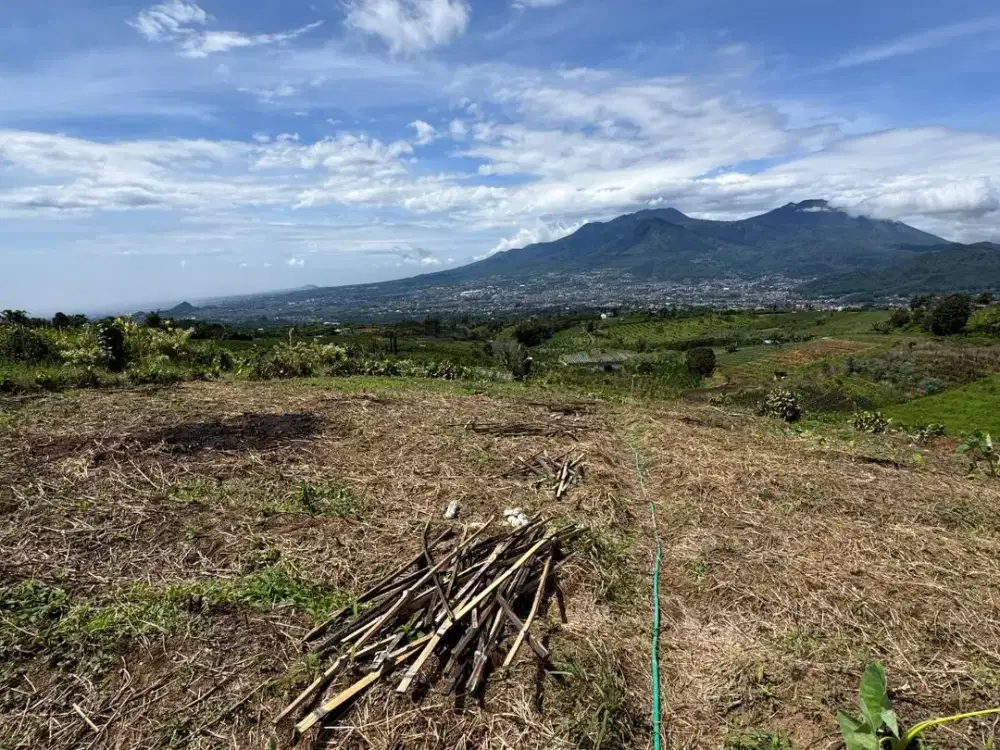 Tanah Murah Kota Batu Pinggir Jalan — View Kota & Gunung Panderman!