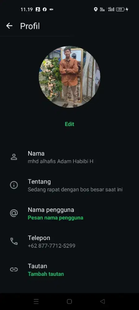 Induk angsa 4 ekor