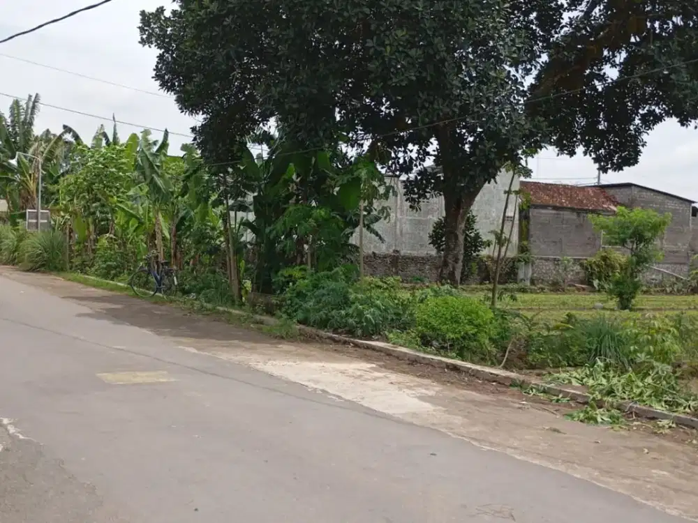 Tanah Pekarangan Luas Murah di Kalasan Sleman Yogyakarta #Kode : TP 004
